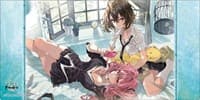 Bushiroad Rubber Mat Collection V2 Vol.545: Azur Lane - After-School Ace