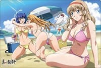 Bushiroad Rubber Mat Collection V2 Vol.560: Ikkitousen - Sonsaku, Ryomou, Sonken