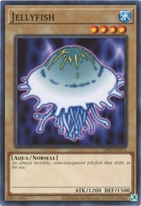 Jellyfish