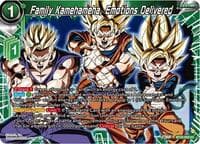 Family Kamehameha, Emotions Delivered