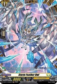 Storm Feather Owl (FR)