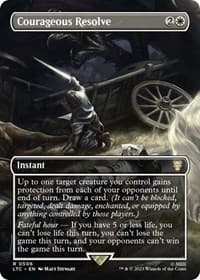 Courageous Resolve (Borderless)