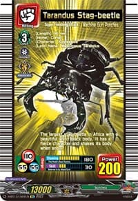 Tarandus Stag-beetle