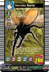 Hercules Beetle