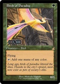 Birds of Paradise (Retro Frame) (Serial Numbered)