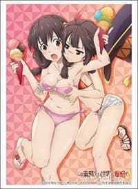 Bushiroad Sleeve Collection HG Vol. 3869: Kono Subarashii Sekai ni Bakuen wo! - Yunyun & Megumin (75-Pack)