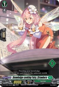 Knowledge-seeking Fairy, Strawbera (2)