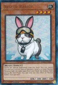 Rescue Rabbit (PUR)