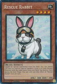 Rescue Rabbit (PCR)