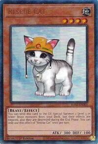 Rescue Cat (PUR)