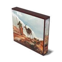 Artist Edition Collector's Album'n'Case: Mario Renaud - The Search
