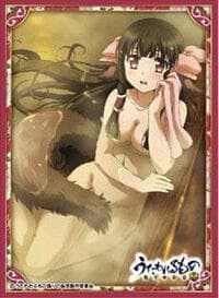 Ensky Imported Card Sleeves: Utawarerumono: Itsuwari no Kamen - Rurutie C (65 Pack)