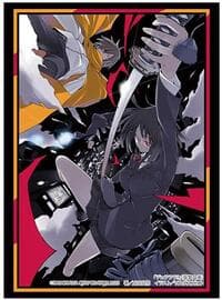 Bushiroad Sleeve Collection HG Vol. 4249: Dengeki Bunko Durarara!! - Anri Sonohara/Masaomi Kida/Mikado Ryugamine (75-Sleeves)