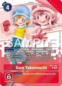 Sora Takenouchi (Premium Heroines Set)