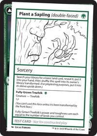 Plant a Sapling (double-faced)