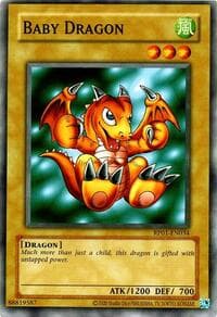 Baby Dragon