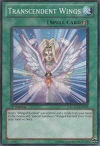 Transcendent Wings