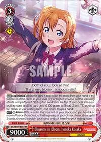 Blossoms in Bloom, Honoka Kosaka