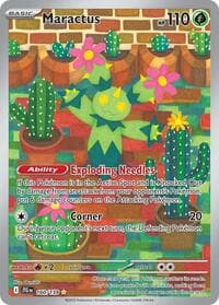 Maractus - 160/159