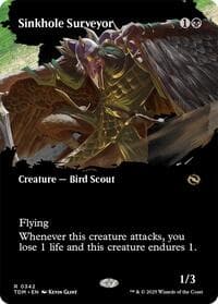 Sinkhole Surveyor (Borderless)