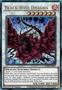 Black Rose Dragon (PUR)