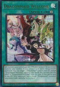 Dragonmaid Welcome