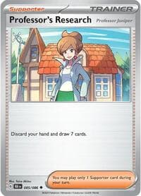 Professor's Research