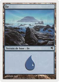 Island (French) - "Ile" (E21)