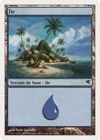 Island (French) - "Ile" (E10)