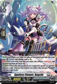 Spatless Cleaner, Regelia