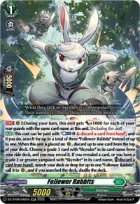 Follower Rabbits
