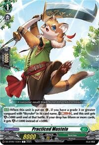 Practiced Mustela