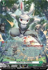 Follower Rabbits (SR)