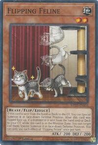 Flipping Feline