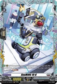 RoaMiNG 10-K (FR)