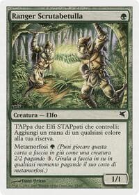 Birchlore Rangers (Italian) - "Ranger Scrutabetulla" (B53)