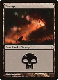 Swamp (79)