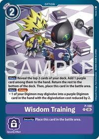 Wisdom Training (Reprint)