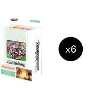 Umamusume: Pretty Derby Race 2 Trial Deck Display