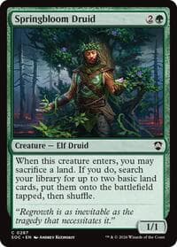 Springbloom Druid
