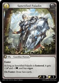 Sanctified Paladin