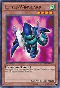 Little-Winguard