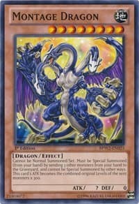 Montage Dragon
