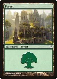 Forest (87)