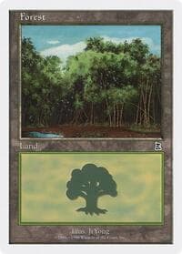 Forest (109)