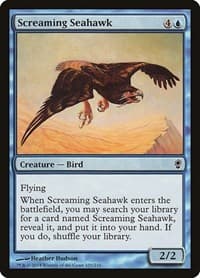 Screaming Seahawk