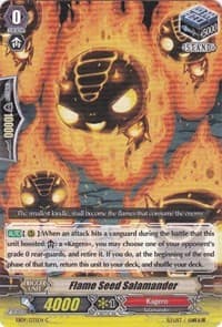 Flame Seed Salamander