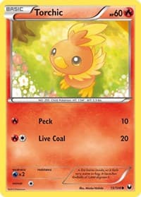 Torchic (15)