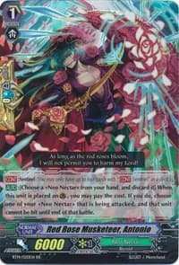 Red Rose Musketeer, Antonio