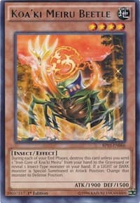 Koa'ki Meiru Beetle